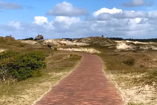 Vier Duinen in Oostkapelle - Foto 40 van 40