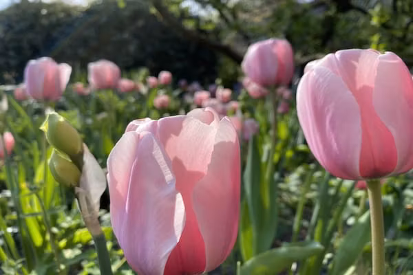 Romantisch Bergen in Bergen - Foto 40 van 40