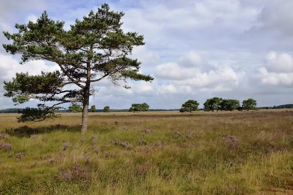 Wapse in Wapse - Foto 35 van 35