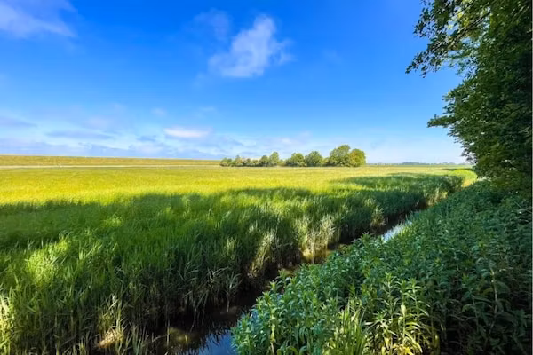Landhuis Wad Anders in Wierum - Foto 40 van 40