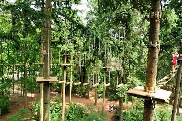 Het Kruisselt in Zelhem - Foto 36 van 36