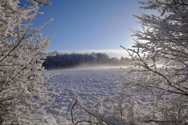 Residence de Eese 13 in De Bult - Steenwijk - Foto 40 van 40