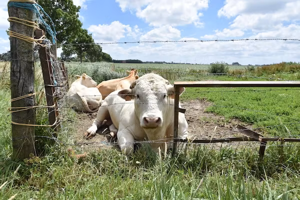 Het Mosselhuys in Bruinisse - Foto 40 van 40