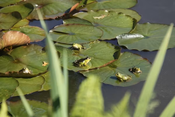 Kempernoel in Heino - Foto 39 van 39