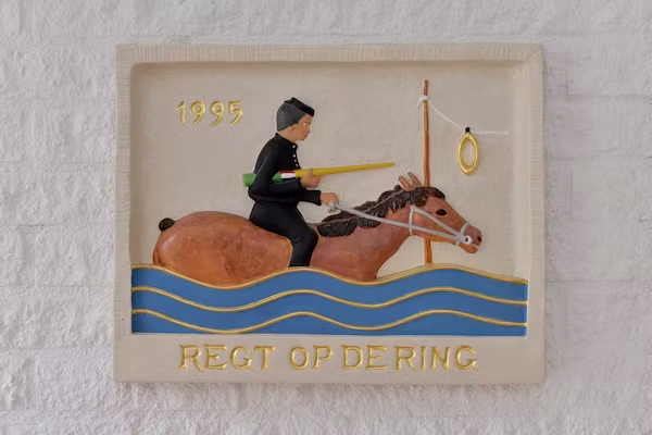 Wilgenlaan 15 in Kamperland - Foto 40 van 40