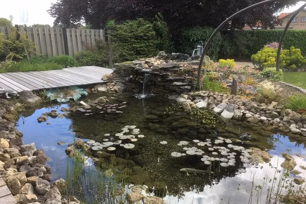 Groepswoning - De Ploeg in Groede - Foto 13 van 13