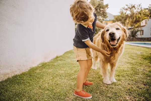 Buitenhof Domburg 11 in Domburg - Foto 40 van 40