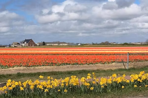 't Zeepaardje in Noordwijkerhout - Foto 40 van 40