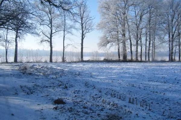 Koe in de Kost 3 in Heeten - Foto 40 van 40