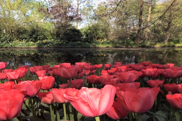 Scheveningen Harbour 54c in Scheveningen - Foto 40 van 40