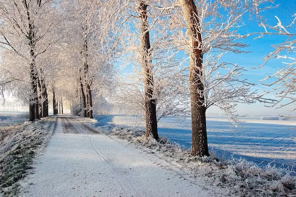 Aquadelta 37 in Bruinisse - Foto 40 van 40