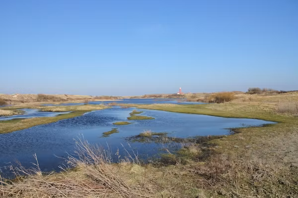 Stoeterij C65 in De Cocksdorp Texel - Foto 22 van 22