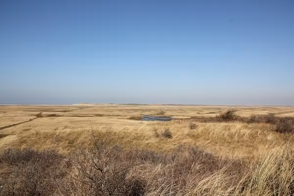 Bungalow van der Linde D-8b in De Cocksdorp Texel - Foto 14 van 14