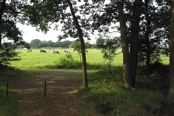 Vakantiepark Herperduin 19 in Herpen - Foto 18 van 18