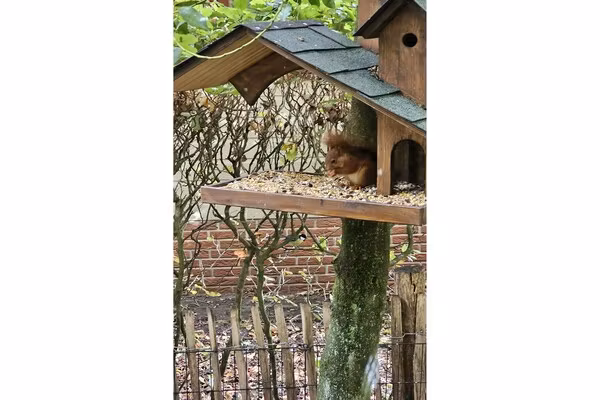 Huisje 37 in Stegeren - Foto 38 van 38