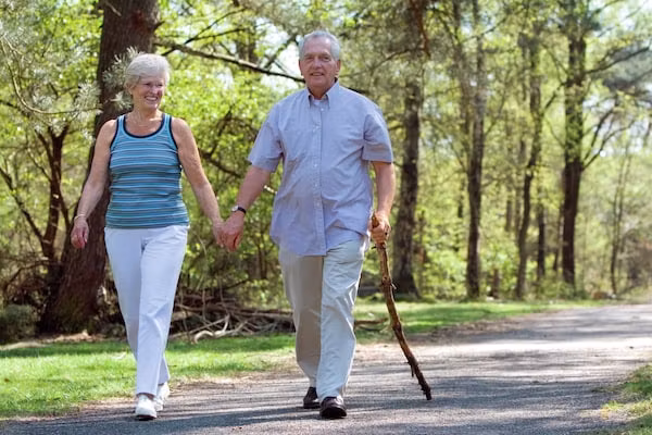 Vakantiepark de Berkenhorst 11 in Kootwijk - Foto 37 van 37