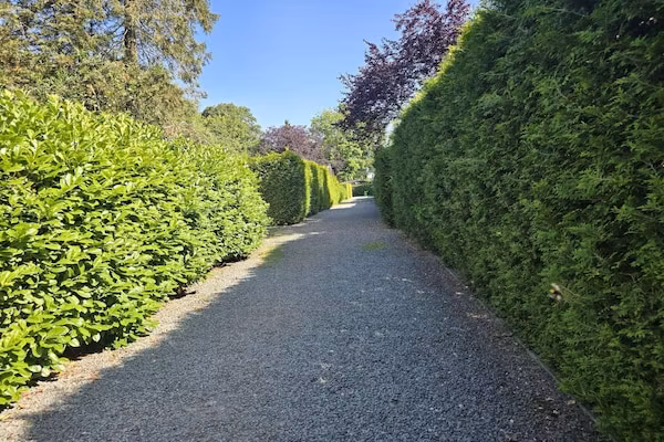 De Veluwse Eekhoorn in Garderen - Foto 38 van 38