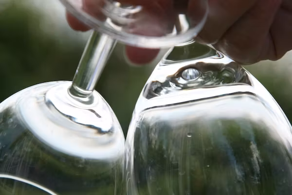 Recreatiepark Tolplas 19 in Hoge Hexel - Foto 40 van 40