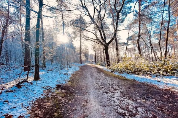 Vakantie bij Meeussen - Schuttersoord 4 in Mook - Foto 40 van 40