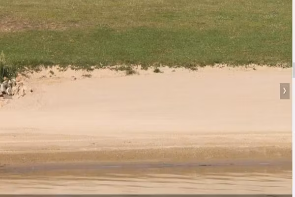 Recreatiepark Rhederlaagse Meren 3 in Lathum - Foto 40 van 40