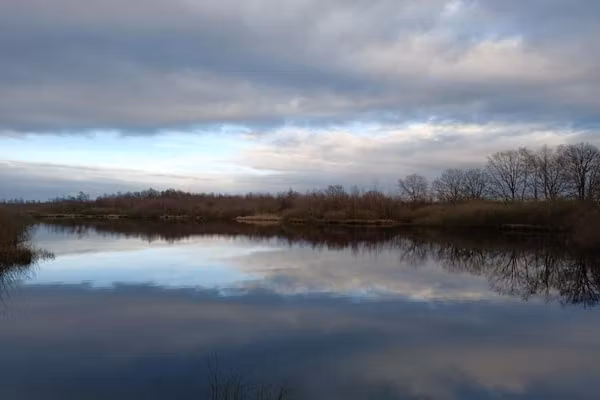 The Old Farmhouse in Montfoort - Foto 40 van 40