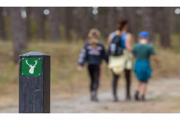 Strandvilla 30 in Renesse - Foto 40 van 40