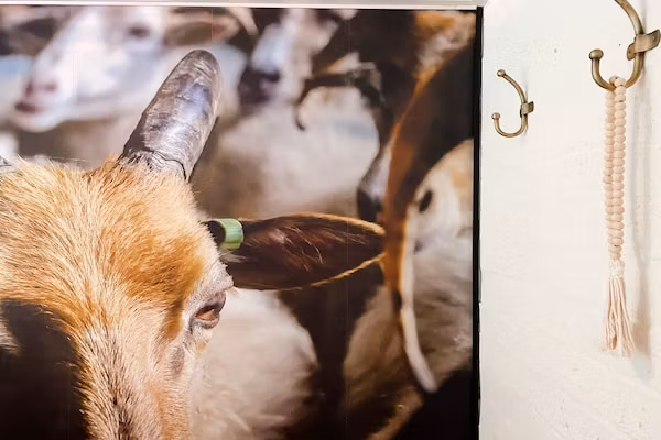 Dutch Cabin Houses C66 in Rheezerveen - Foto 21 van 21