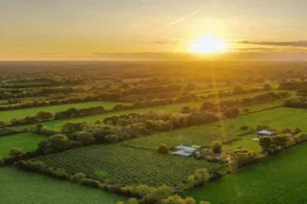 Safaritent 'Gaadlik' in Twijzel - Foto 40 van 40