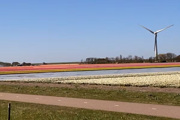 297331 in Dirkshorn - Foto 20 van 20