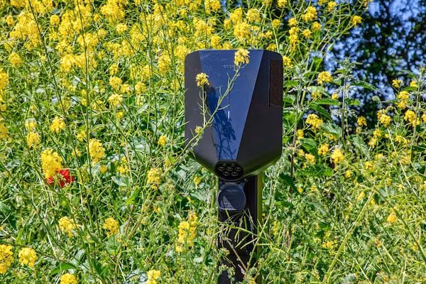 Familievilla Nieuw-Zeeland in Oosterend - Foto 38 van 38