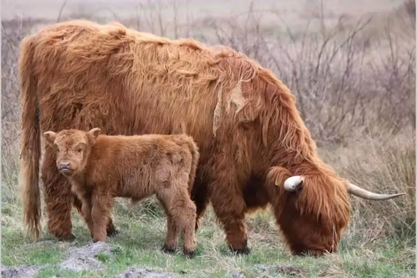 Duynopgangh 46 in Julianadorp aan Zee - Foto 39 van 39