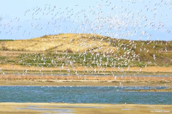 Schoneveld 369 Strandparel Breskens in Breskens - Foto 40 van 40