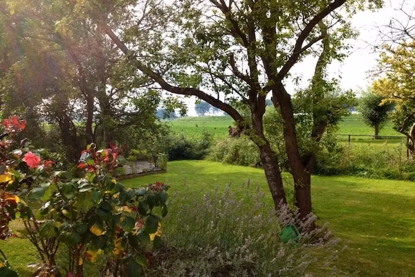 Nummer Één 26a Hoofdplaat in Hoofdplaat - Foto 40 van 40