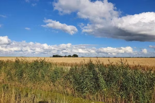 Standaard 329 in Simonshaven - Foto 37 van 37