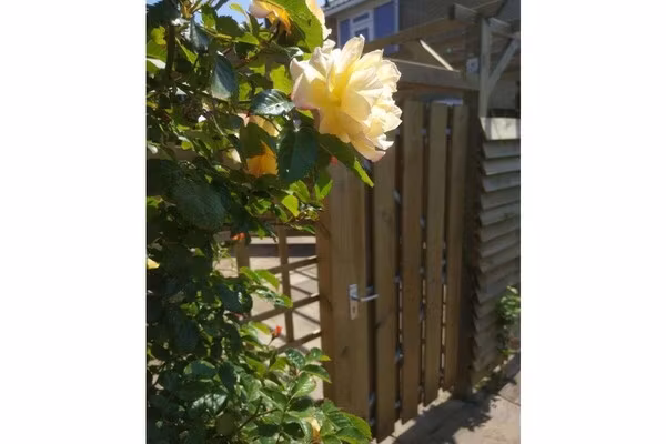 235675 in Heemskerk - Foto 2 van 22