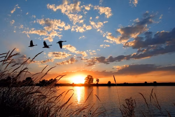 Dijkhuys in PS Opperdoes - Foto 11 van 11