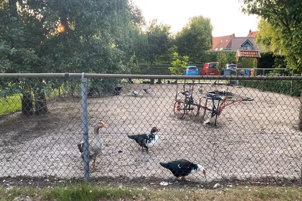 De Hofstede in Bergen op Zoom - Foto 40 van 40