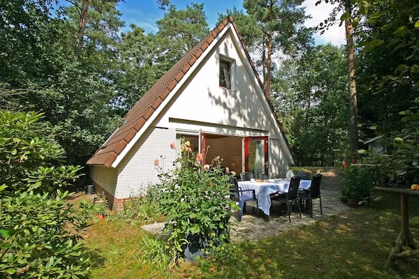 Kleine Vos in Nunspeet - Foto 1 van 38