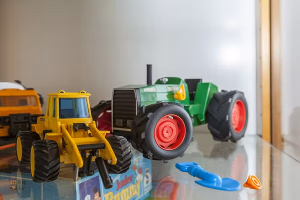 Kleine Vos in Nunspeet - Foto 38 van 38