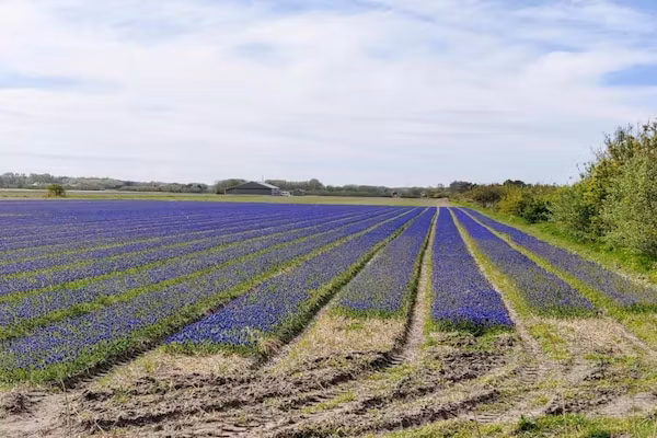 Kustpark Texel 2 in De Koog - Foto 40 van 40