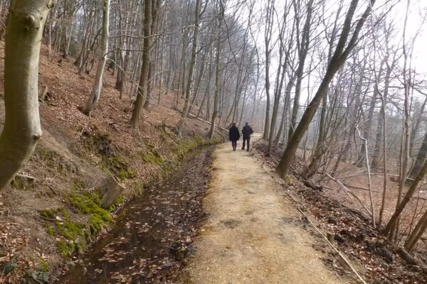 De Riethorst 2 in Plasmolen - Foto 39 van 39