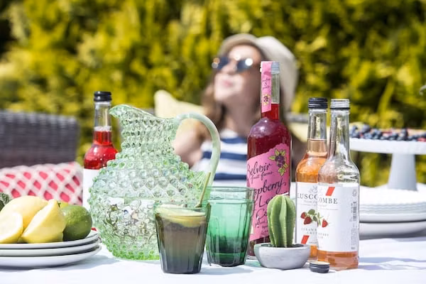 Bungalowpark Rien van den Broeke Village 7 in Nieuw-Loosdrecht - Foto 40 van 40