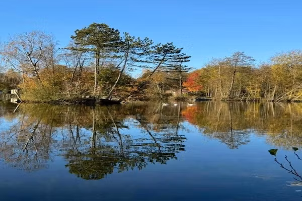 Singelhoeve in Fochteloo - Foto 40 van 40
