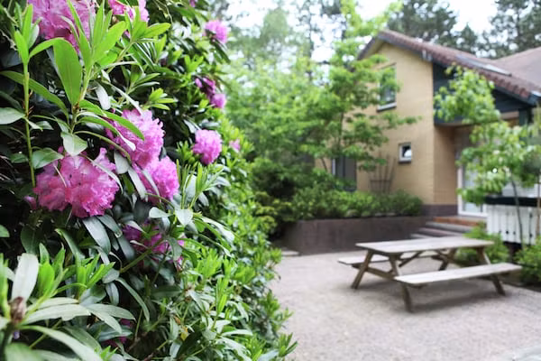 De grove Den in Doornspijk - Foto 40 van 40