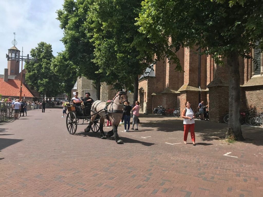 189922 in Kamperland - Foto 40 van 42