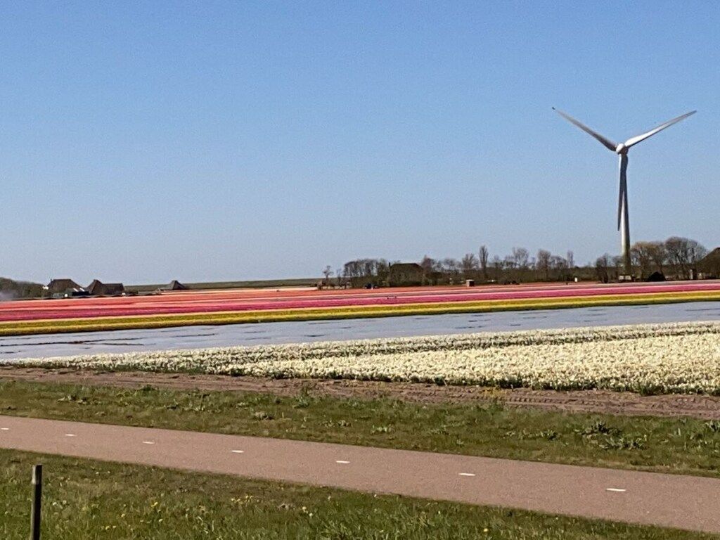 297331 in Dirkshorn - Foto 20 van 20