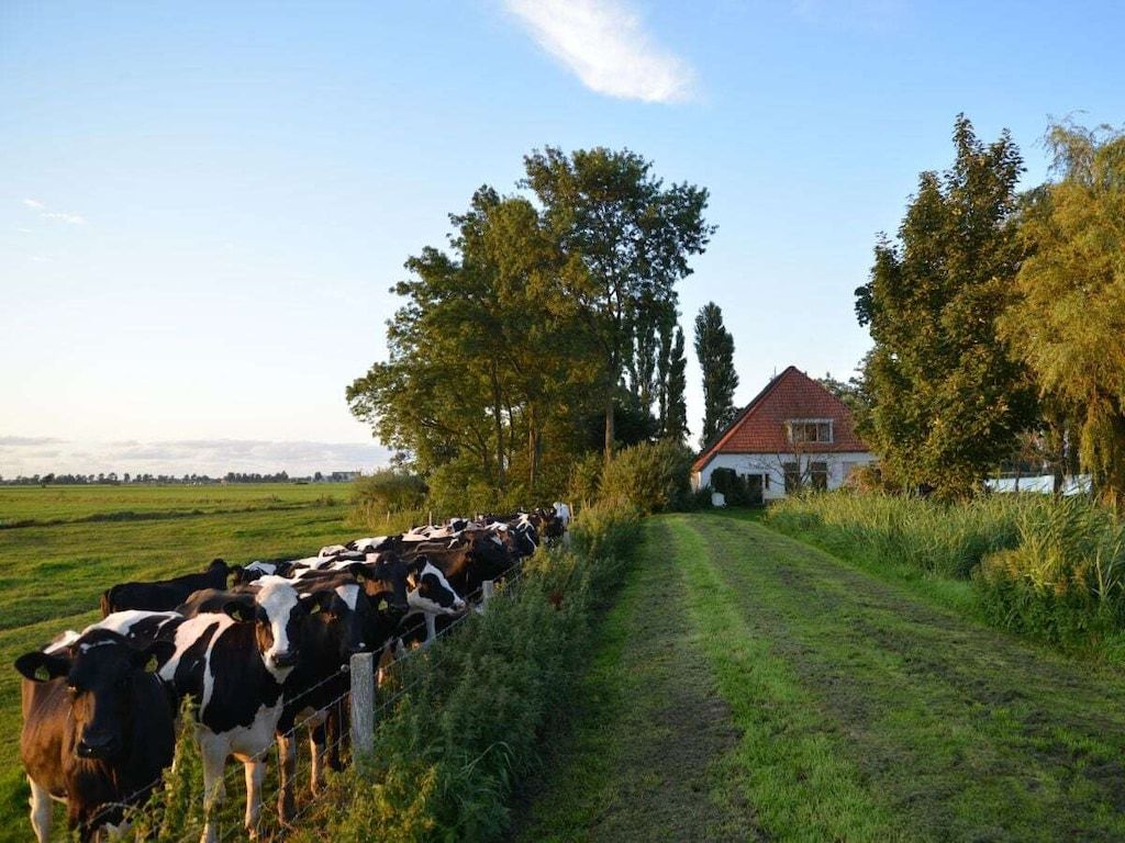 133347 in Warten (Grou) - Foto 31 van 42