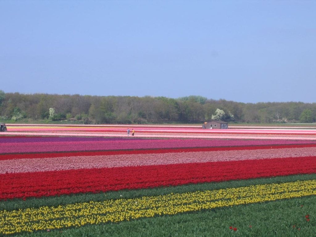 232458 in zandvoort - Foto 36 van 46