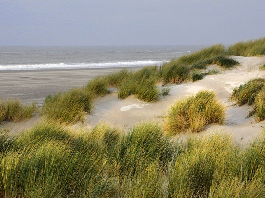 122076 in Ouddorp - Foto 20 van 23