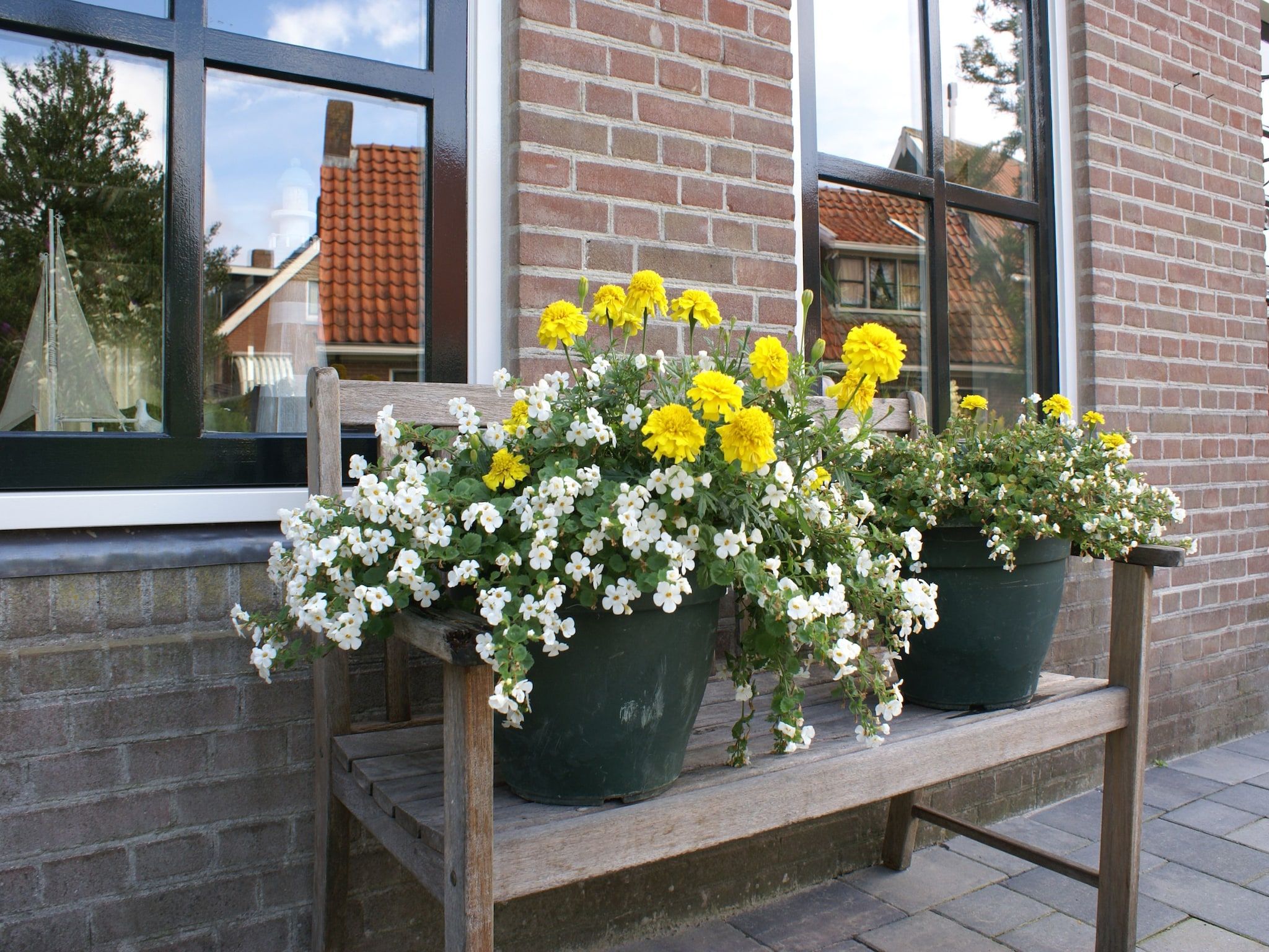 Sfeerbeeld van Wadden Geluk in Paesens